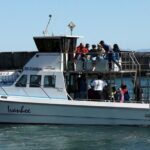 Big 5 Sea Safari in Walker Bay from Gansbaai - Authentic Reviews and Insights