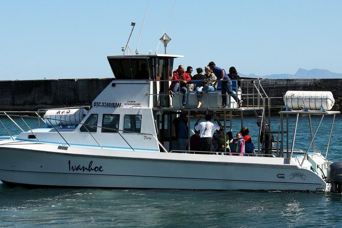 Big 5 Sea Safari in Walker Bay from Gansbaai - Authentic Reviews and Insights