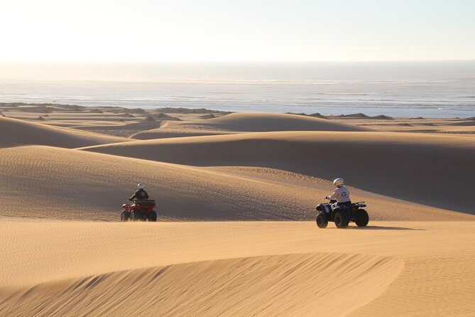Big Cap Sim dunes and forest 3 hours tour. - The Sum Up