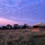 Big Five Dream Safari - The Experience of a Guided Safari