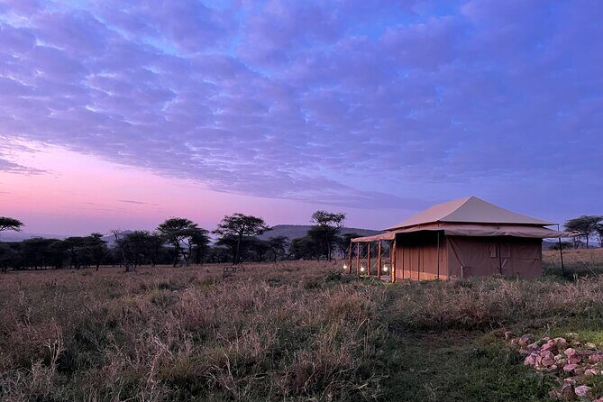 Big Five Dream Safari - The Experience of a Guided Safari