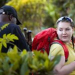 Big Five Luxury 7 Days Safari Tour in Arusha - Price, Value, and What You’re Getting
