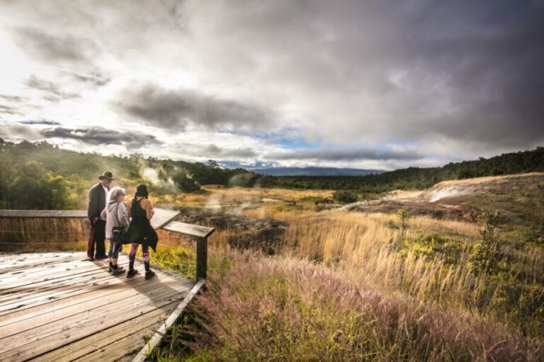 Big Hawaii: Private Guided Van Tour - A Thorough Breakdown of the Itinerary and Highlights