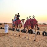 Big Red Dunes Desert Safari in Dubai with Camel Ride, Live Shows & BBQ Dinner - Who Will Love This Tour?