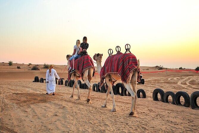 Big Red Dunes Desert Safari in Dubai with Camel Ride, Live Shows & BBQ Dinner - Who Will Love This Tour?