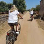 Bike Tour among the Ancient Olive Trees with EVO Oil Tasting - Practical Details & Value