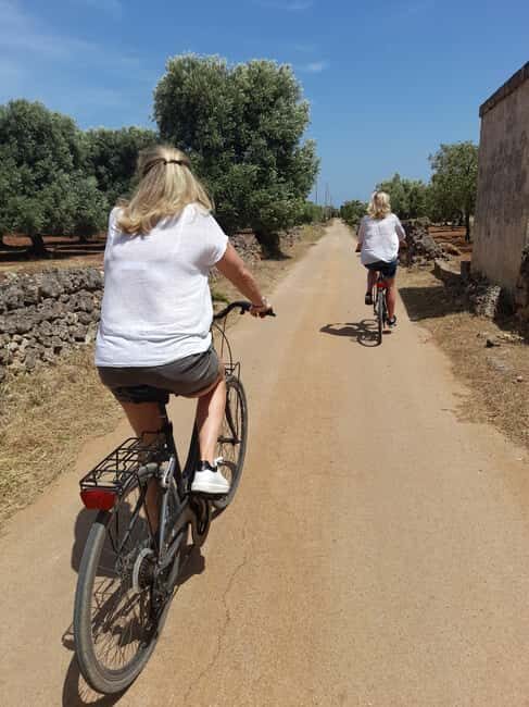 Bike Tour among the Ancient Olive Trees with EVO Oil Tasting - Practical Details & Value