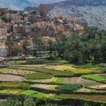 Billad Sayt (Day trip) 4WD :Muscat Tours - Who Is This Tour Best For?