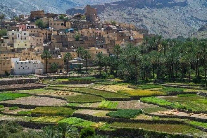 Billad Sayt (Day trip) 4WD :Muscat Tours - Who Is This Tour Best For?