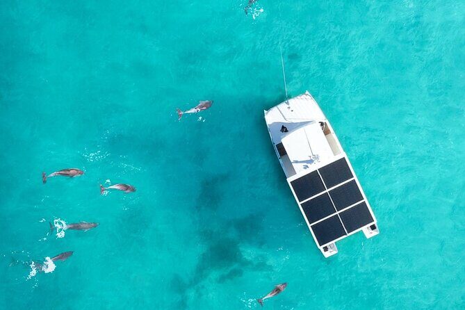 Biologist Owned & Operated: Dolphin Watching & Guided Snorkeling - What Sets This Tour Apart?