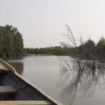 Birdwatching tours - The Sum Up