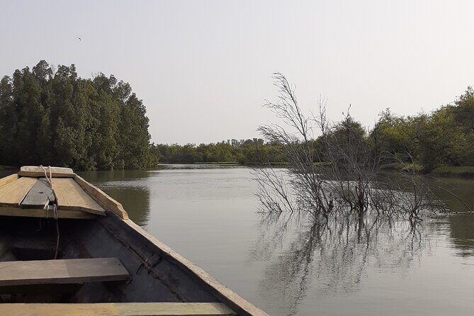 Birdwatching tours - The Sum Up