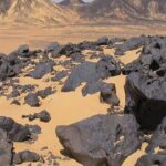 Black and White Desert and Bahariya Oasis Tour 2 Days 1 Night - Exploring the Black Desert & Valley of El Haize Hot Springs
