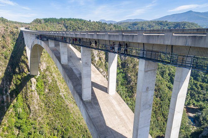 Bloukrans Bungy, the worlds best bungy jump! - Why This Tour Is Worth It