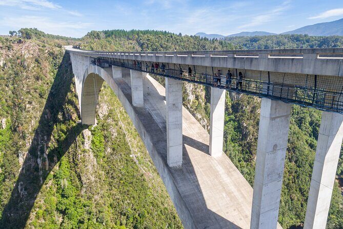Bloukrans Skywalk Tour and HangOut Zone - Who Should Consider This Tour?