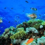Blue Hole and 3 Pools Snorkel with Lunch from Dahab - What’s Included and What’s Not