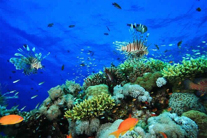 Blue Hole and 3 Pools Snorkel with Lunch from Dahab - What’s Included and What’s Not