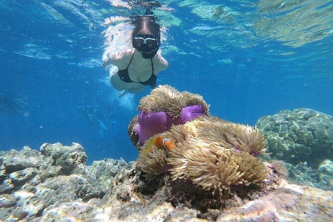 Blue Hole And Canyon And Dahab City Day Tour From Sharm El Sheikh - Practical Tips for Your Trip