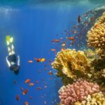 Blue Hole Snorkeling Tour with lunch from Dahab - FAQs