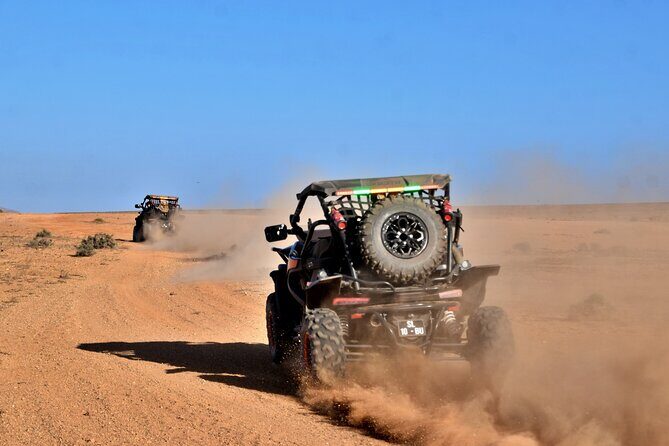 Boa Vista 2h Buggy Death Valley Adventure 1000cc - The Verdict: Who Is It For?