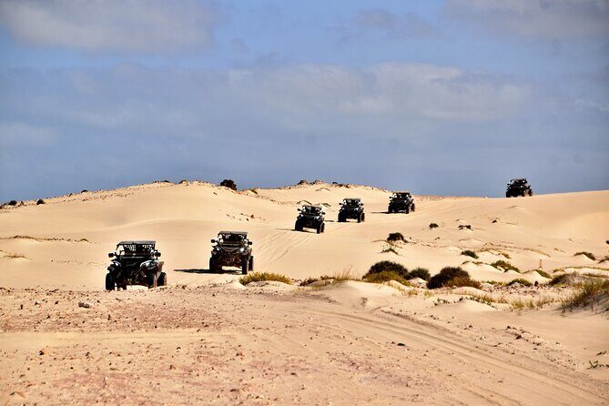Boa Vista 4h South Buggy Adventure 1000cc - The Itinerary in Detail
