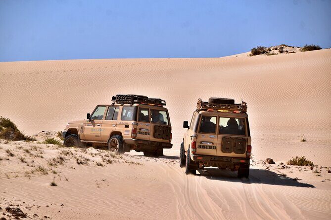 Boa Vista: 4h South Jeep Expedition Off-Road - The Experience from the Travelers Perspective
