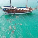 Boa Vista Adults-Only Cruise - Who Is This Tour Best For?