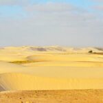 Boa Vista Island: Half-day Northern Tour + Viana Desert Adventure - Authentic Insights from Travelers
