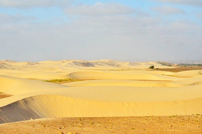 Boa Vista Island: Half-day Northern Tour + Viana Desert Adventure - Authentic Insights from Travelers