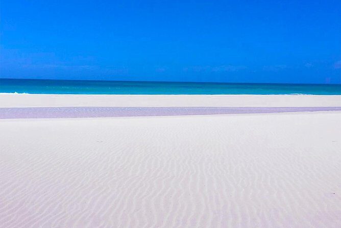 Boa Vista Tour: Santa Mónica, Desert & Shipwreck - Why This Tour Is Great Value