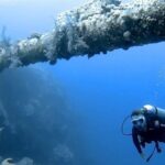 Boat Dive 2 Guided Dives with Lunch Included wreck dive&reef dive - Dive Sites: Wreck and Reef