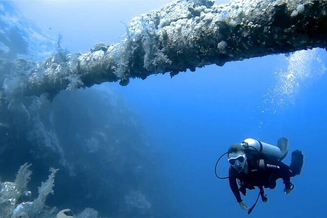 Boat Dive 2 Guided Dives with Lunch Included wreck dive&reef dive - Dive Sites: Wreck and Reef
