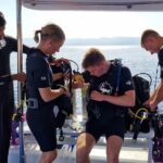 Boat Dive and Snorkeling Experience in Aqaba - The Social Aspect and Group Size