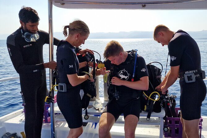 Boat Dive and Snorkeling Experience in Aqaba - The Social Aspect and Group Size