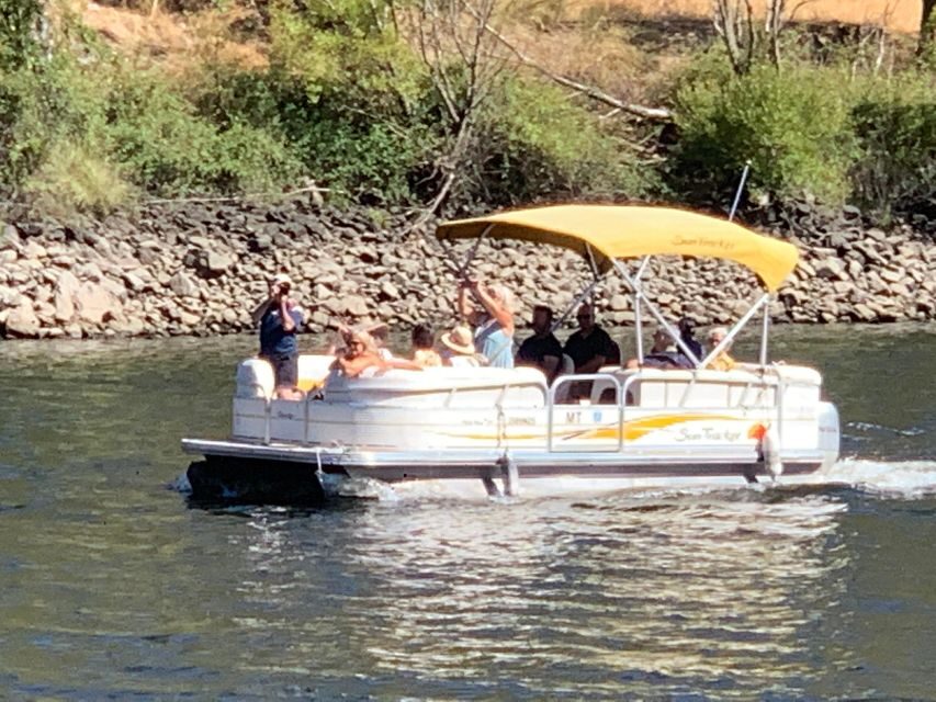 Boat Tour SUNTRACKER - The Sum Up: Is the Suntracker Boat Tour Worth It?