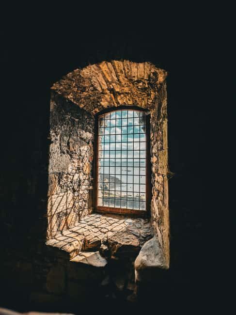 Boat trip and guided tour to Inchcolm Island - Pricing & What’s Included