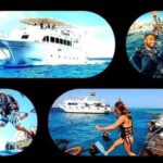 Boat Trip to Ras Mohamed & White island Red Sea & Snorkeling in Sharm elsheikh - Practical Tips for Booking and Enjoying the Tour