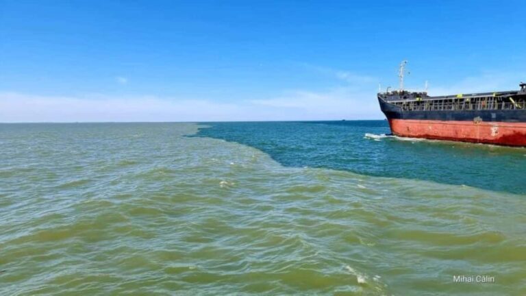 Boat trip to the Danube's mouth at the Black Sea - Why This Tour Is Worth It
