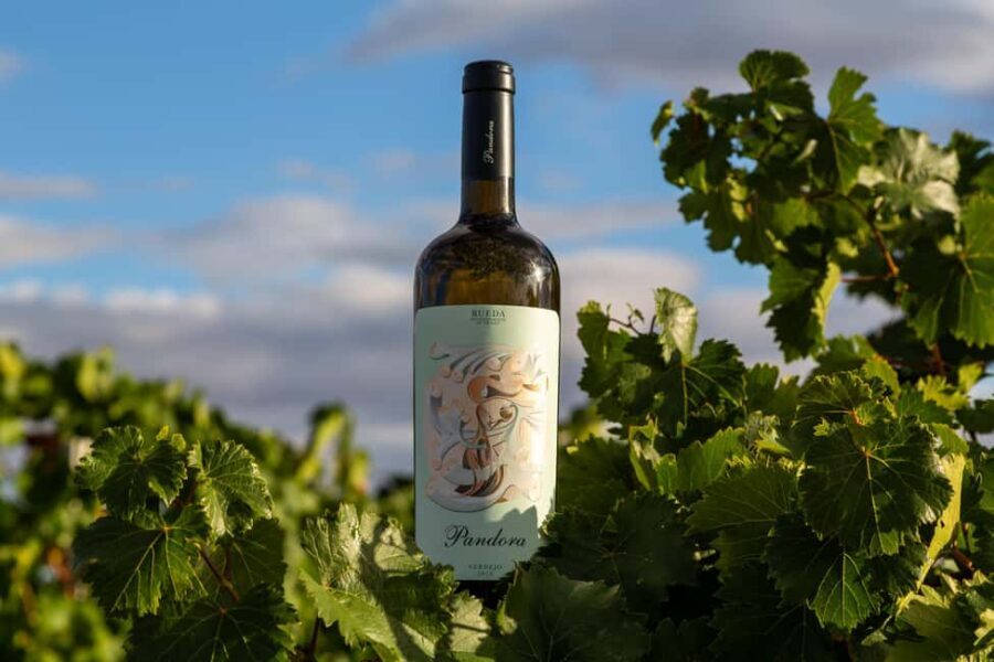 BODEGAS PANDORA: tour through the vineyards and winery with wine tasting. - Who Will Love This Tour?