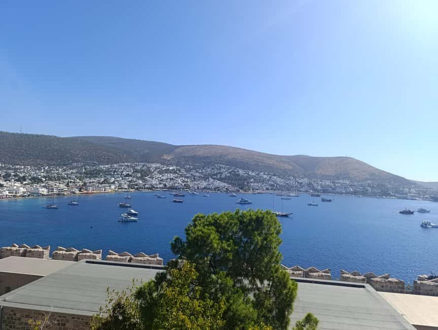 Bodrum St.Peters castle & Underwater Archeology Museum tour! - What to Expect During the Tour