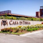 Bolgheri: guided visit of the winery and tasting of our wines - What Makes This Tour Stand Out?