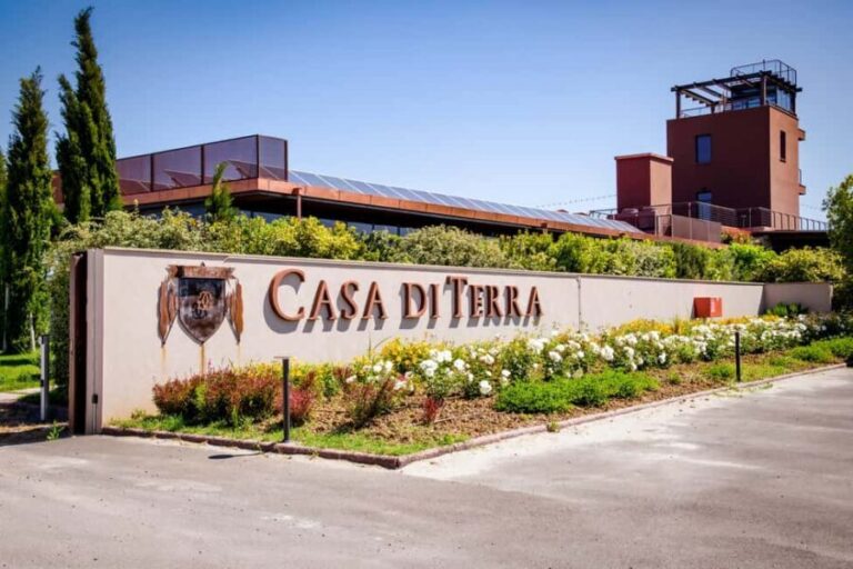 Bolgheri: guided visit of the winery and tasting of our wines - What Makes This Tour Stand Out?