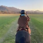 Bologna: Horseback Ride in the Bolognese Hills - Who Will Enjoy This Experience?