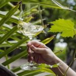 Bolzano: Wine Tasting at SKYWINE Pavilion with Views - The View: More Than Just a Backdrop