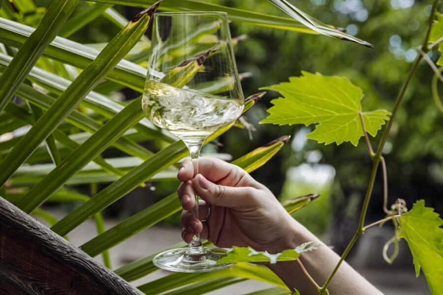 Bolzano: Wine Tasting at SKYWINE Pavilion with Views - The View: More Than Just a Backdrop