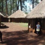 Bomas half day tour from Nairobi - Transportation and Logistics