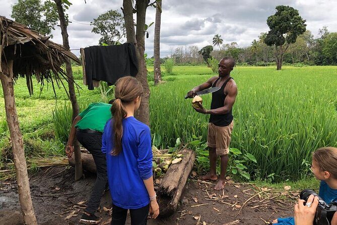 Book Day Hike at Rau Forest Reserve, Near Moshi Town in Tanzania - What the Tour Entails: A Step-by-Step Look