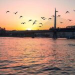 Bosphorus Yacht Tour with a break on the Asia - Detailed Breakdown of the Experience