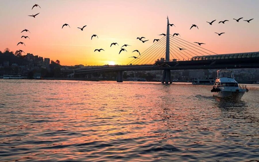 Bosphorus Yacht Tour with a break on the Asia - Detailed Breakdown of the Experience