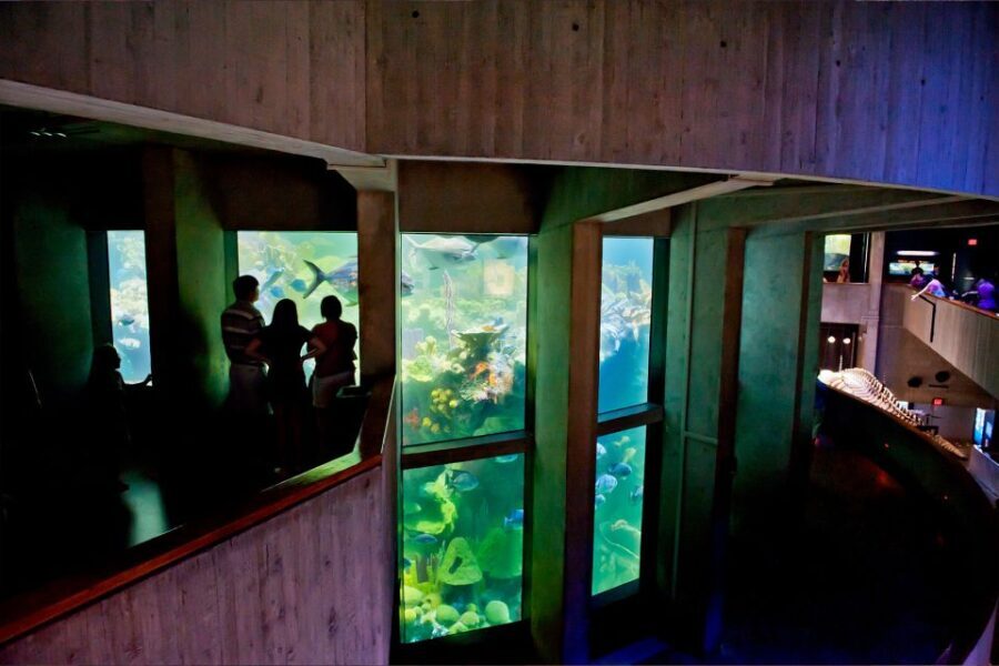 Boston Pass: Save up to 50% - Includes Franklin Park Zoo - What You Can Expect Day-to-Day